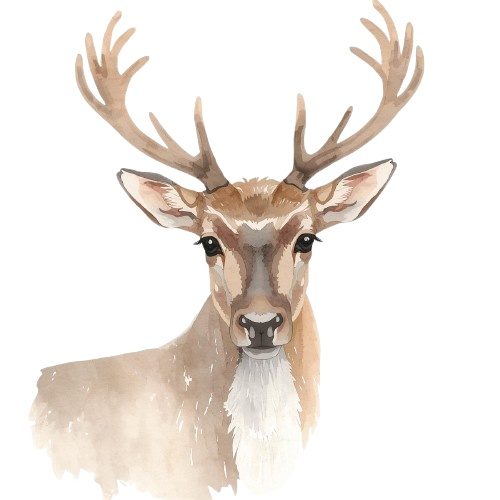 【クリスマス】水彩クリップアート(PNG/背景透過)12点セット