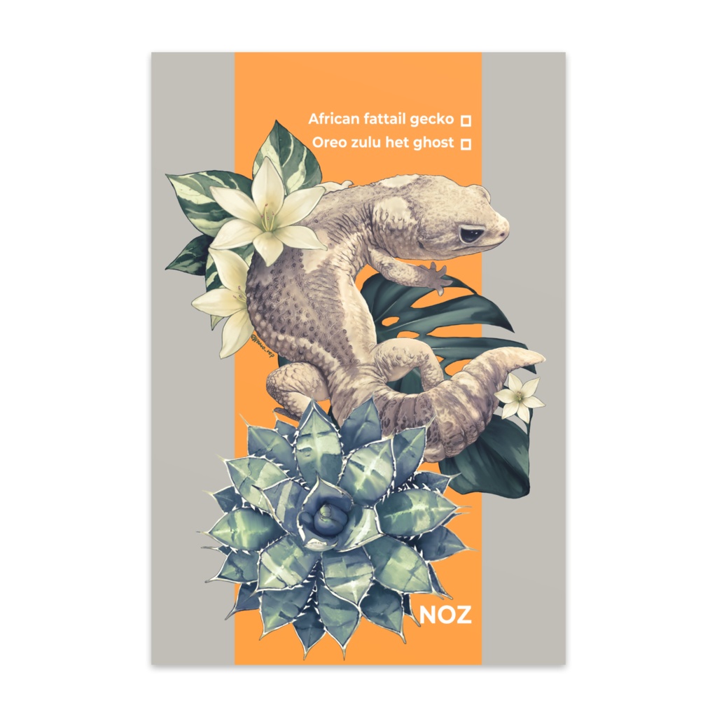 ニシアフリカトカゲモドキ　ポストカード　【オレオズールー＆グリーン】
