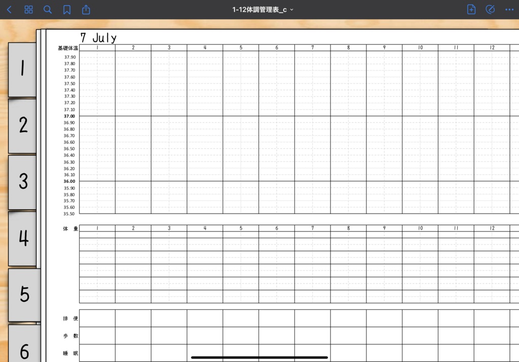 2021年版Monthly & Weeklyデジタルプランナー手帳 3色あり 別冊体調管理ノート付き