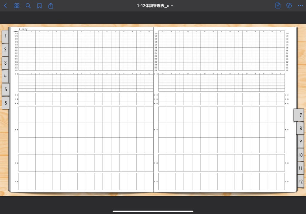 2021年版Monthly & Weeklyデジタルプランナー手帳 3色あり 別冊体調管理ノート付き
