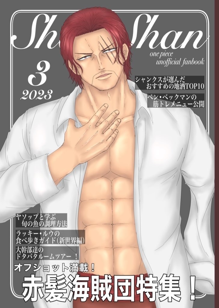 赤髪海賊団＋α イラスト本