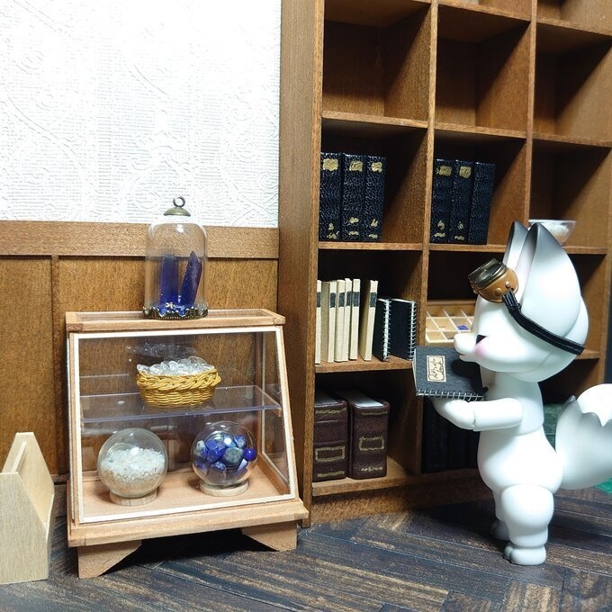 新作 ショウケース-大-