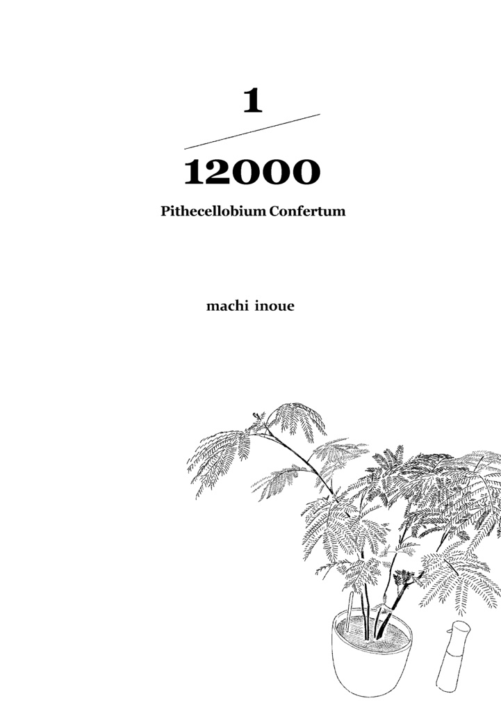 漫画：1/12000　Pithecellobium Confertum