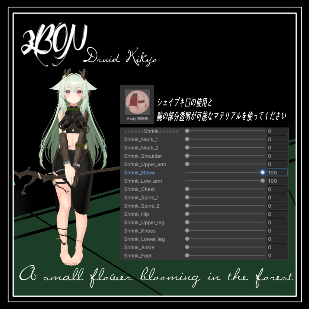 🌳ドルイド桔梗 Druid Kikyo