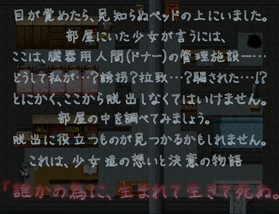 【自作ゲーム】Donor【フリーゲーム】