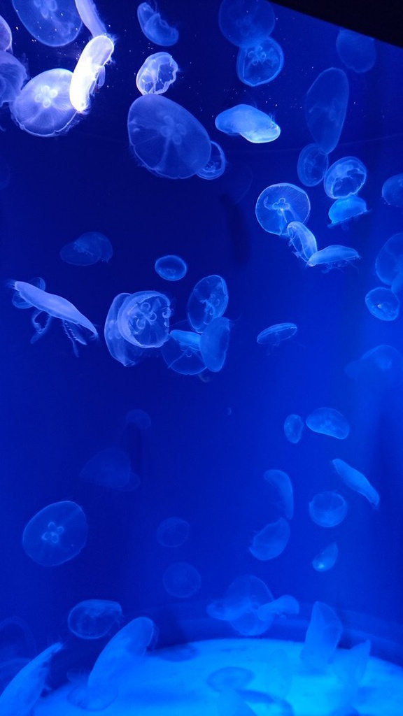 くらげ iPhoneケース