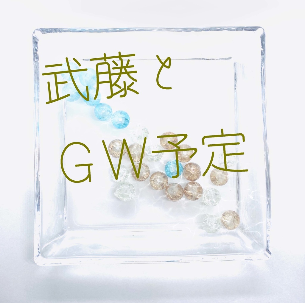 【武藤シリーズ】