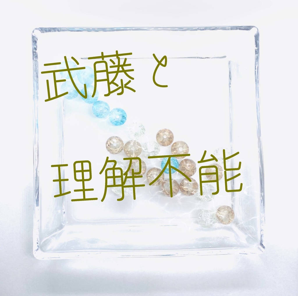 【武藤シリーズ】