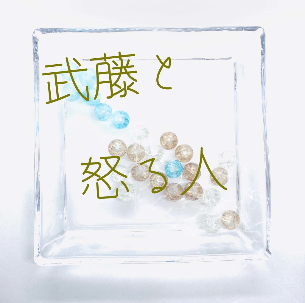 【武藤シリーズ】