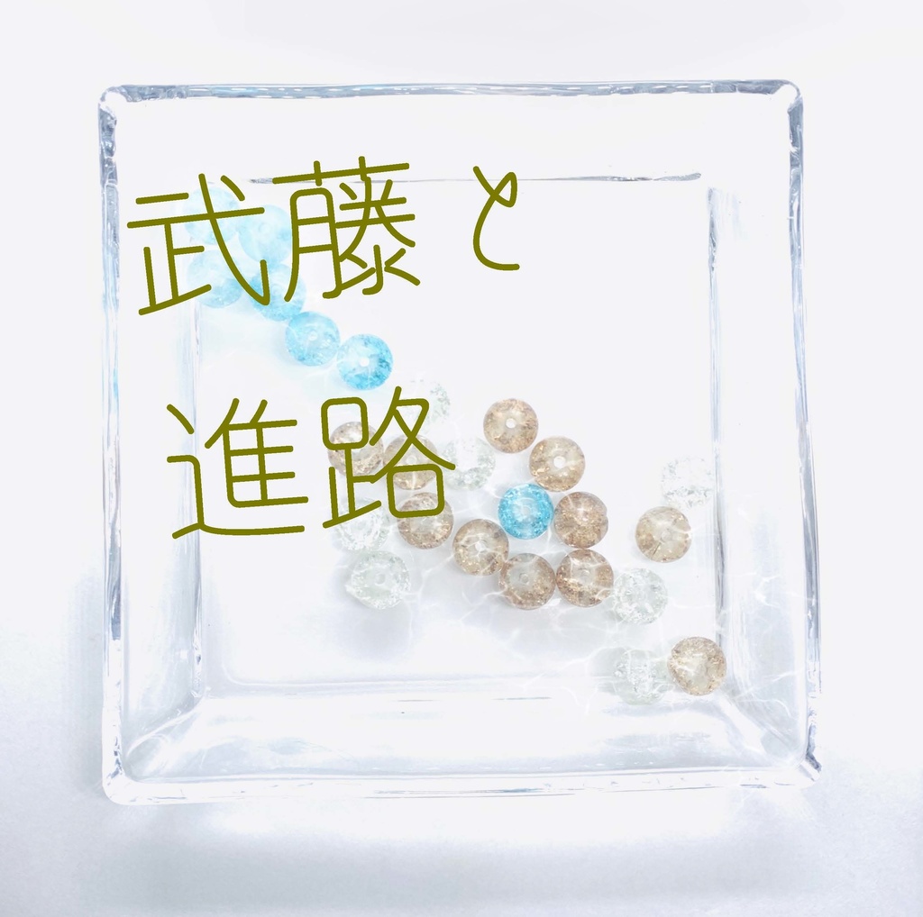 【武藤シリーズ】