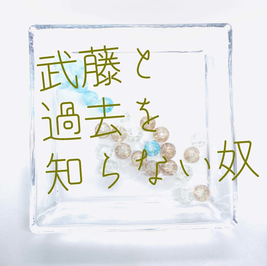 【武藤シリーズ】