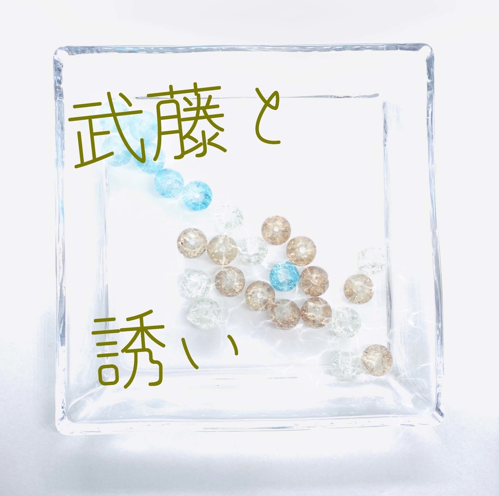 【武藤シリーズ】