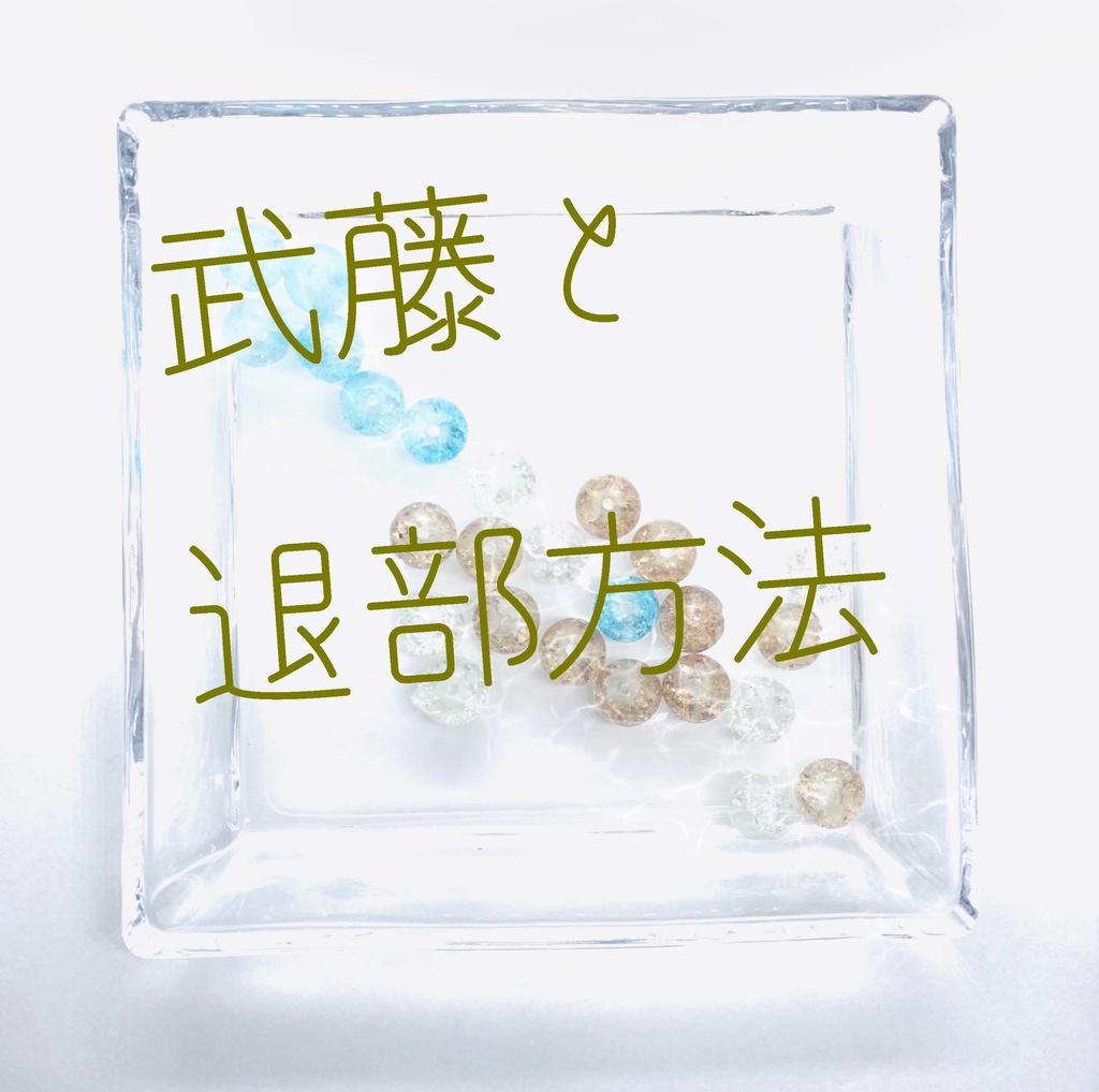 【武藤シリーズ】