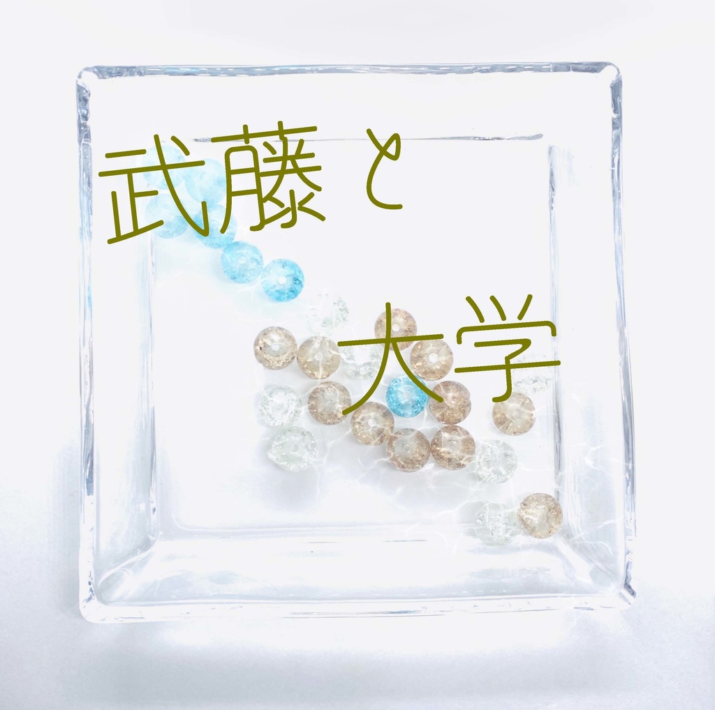 【武藤シリーズ】