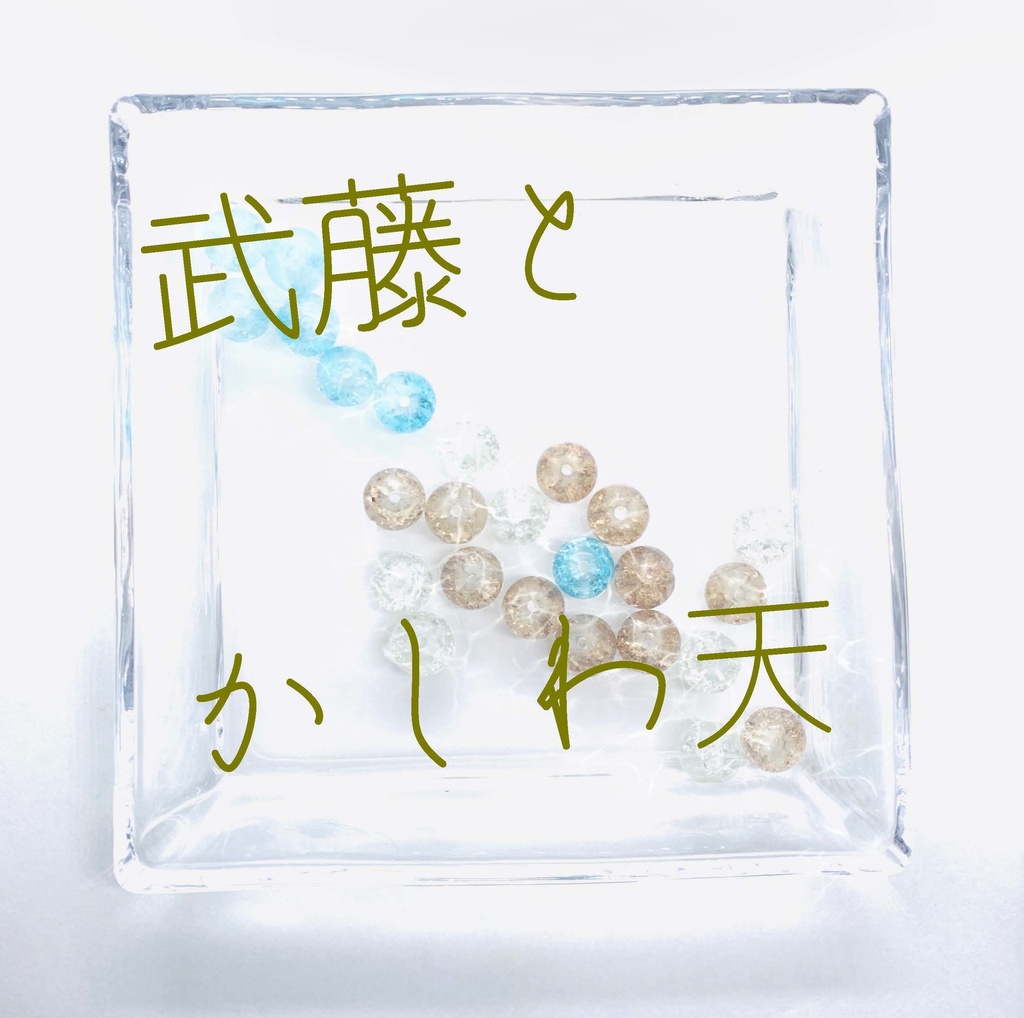 【武藤シリーズ】