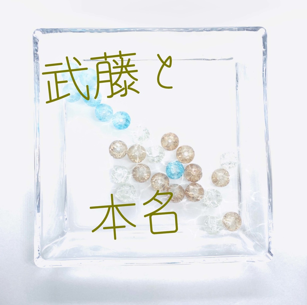 【武藤シリーズ】