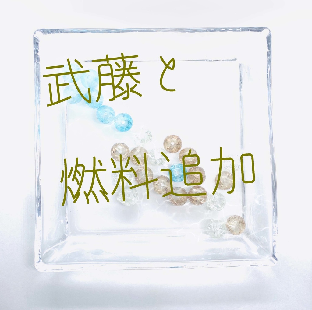 【武藤シリーズ】