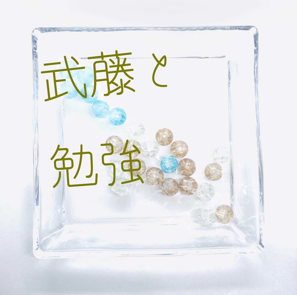 【武藤シリーズ】