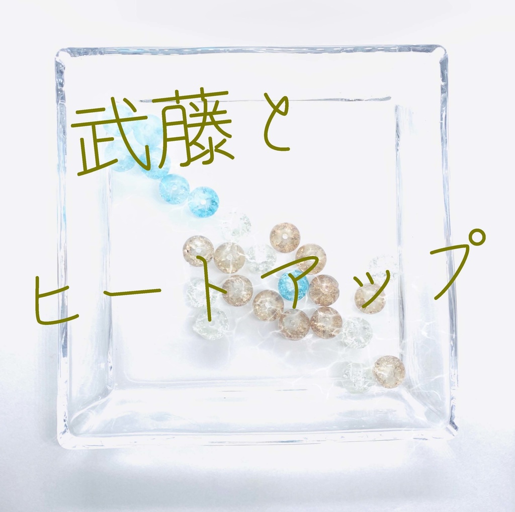 【武藤シリーズ】