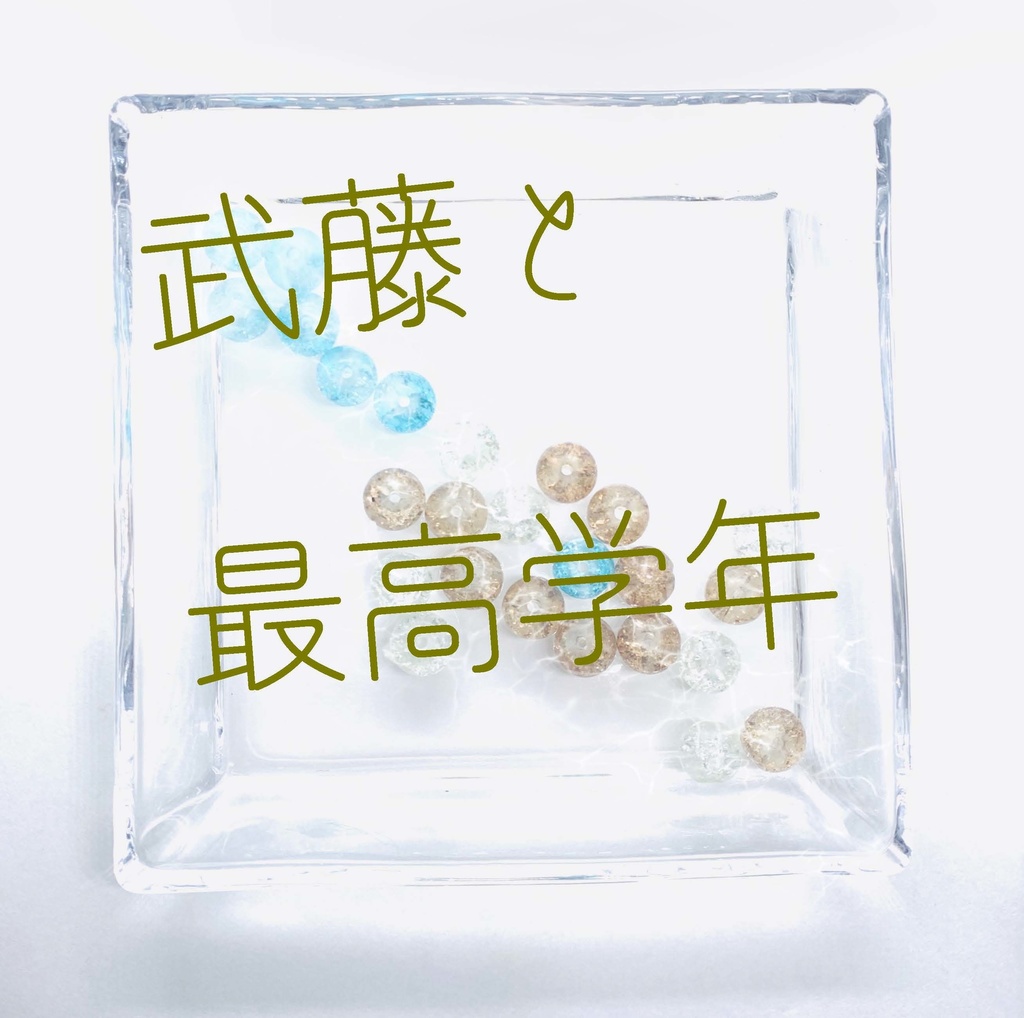 【武藤シリーズ】