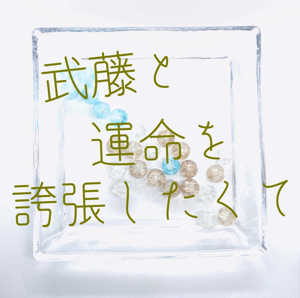 【武藤シリーズ】