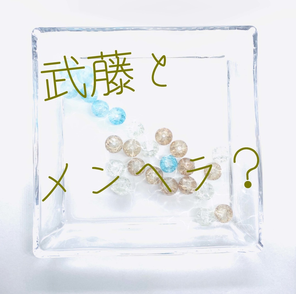 【武藤シリーズ】