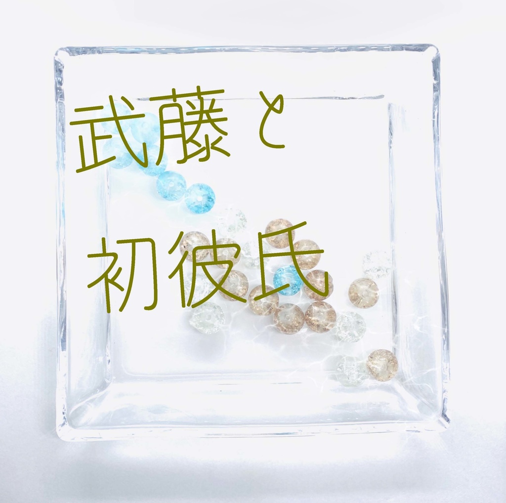 【武藤シリーズ】