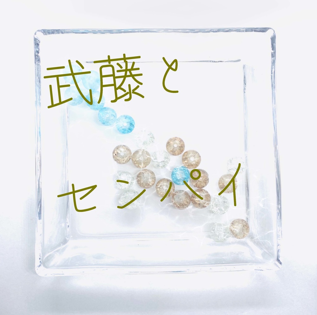 【武藤シリーズ】