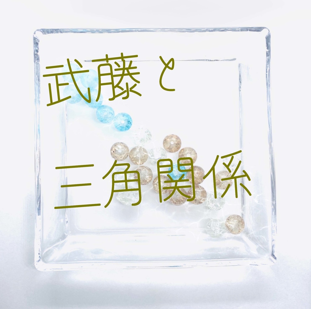 【武藤シリーズ】