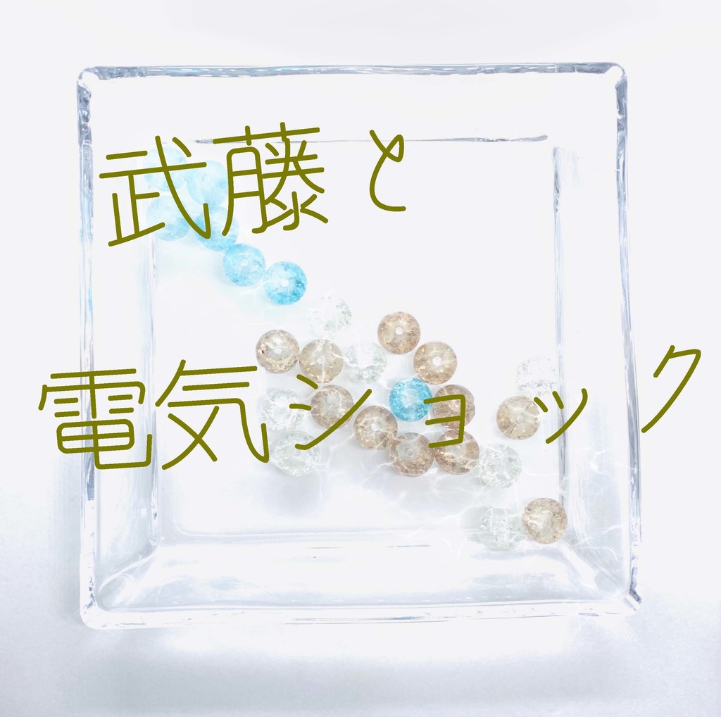 【武藤シリーズ】