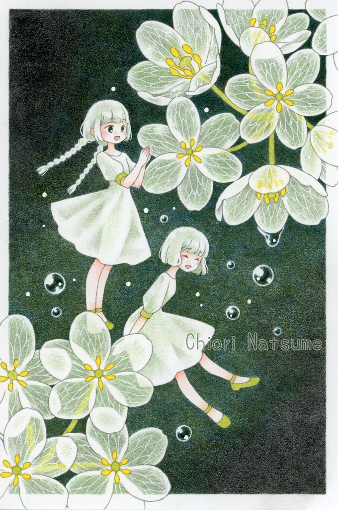 【原画】サンカヨウ