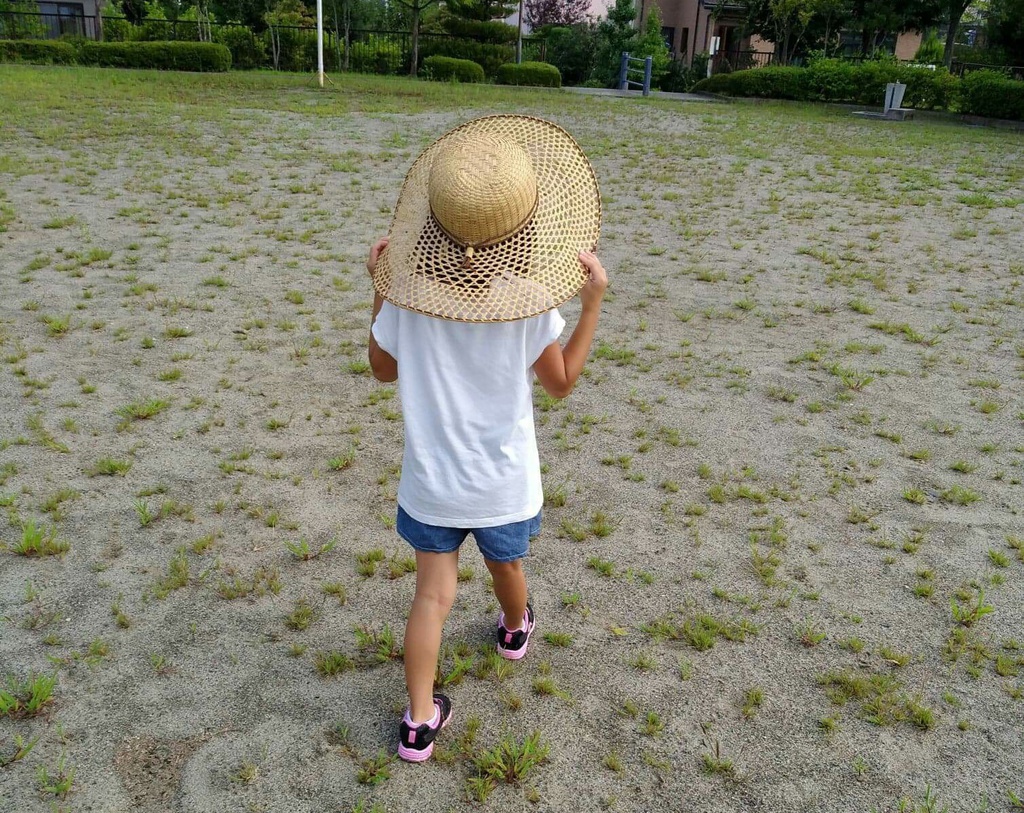ポストカード夏散歩