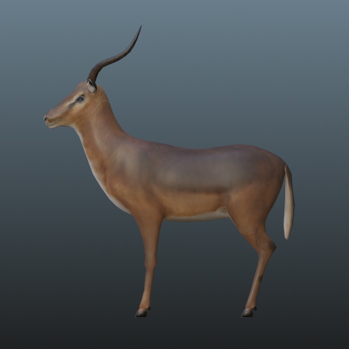 3dモデル　トナカイ　blender