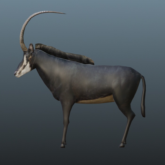 3dモデル　牛　blender