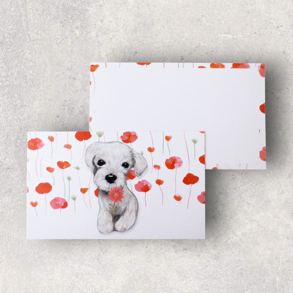 メッセージカードと封筒セット(5種類)