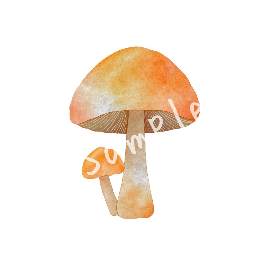 【クリップアート】やわらかな冬時間の素材集17点セット