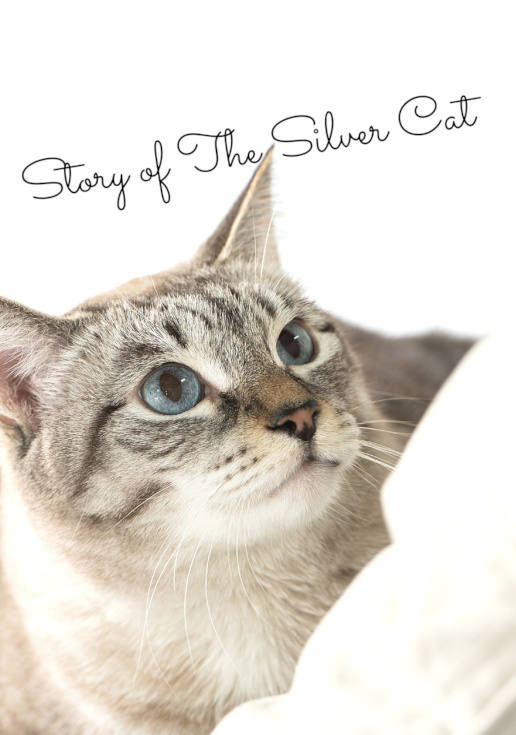 Story of The Silver Cat【仁王夢本】