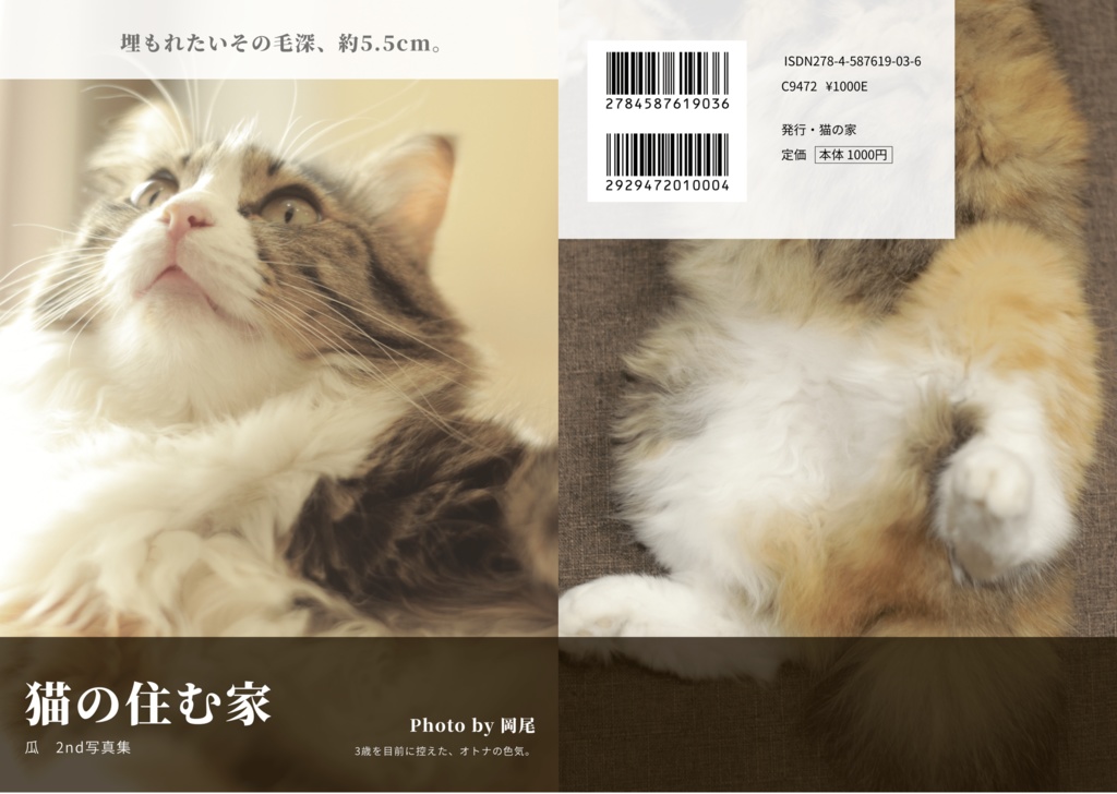 猫の住む家２