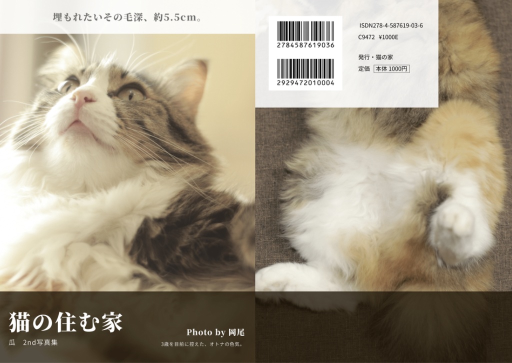 猫の住む家　2nd写真集