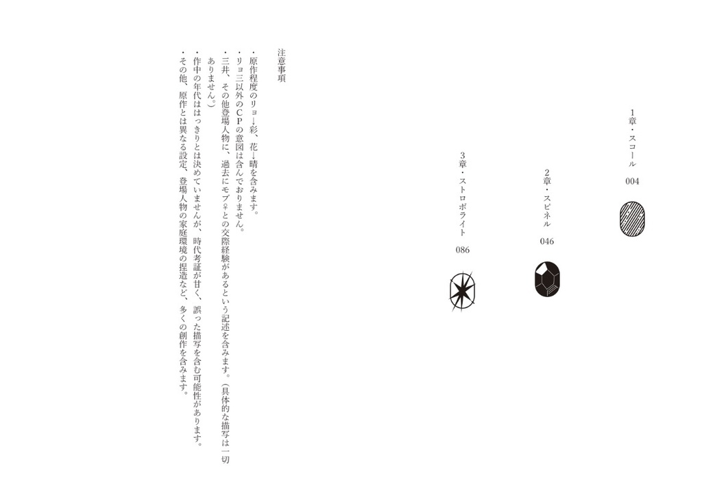 1/26発行✴︎リョ三長編小説『スコール・スピネル・ストロボライト』