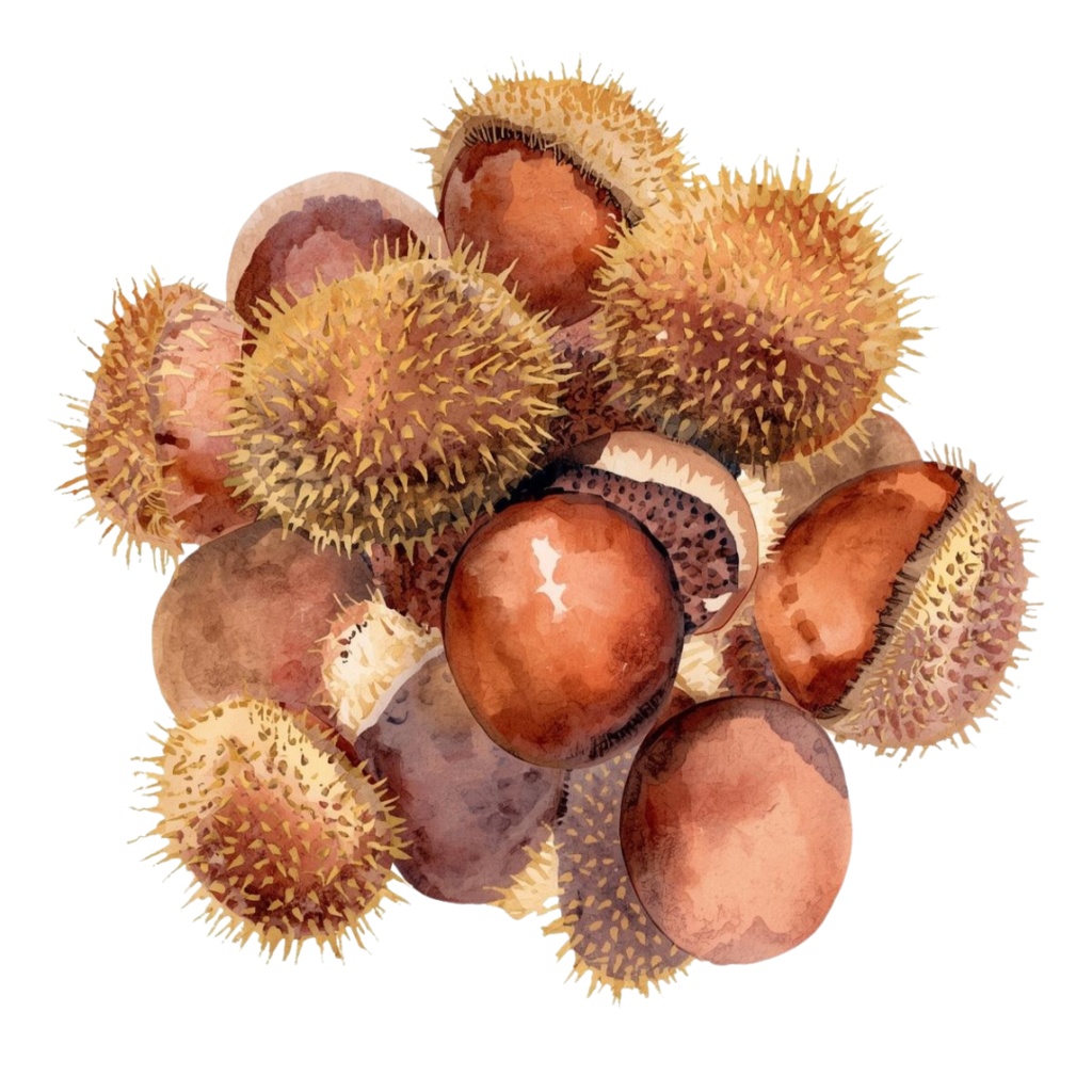 水彩画で描く秋の風景クリップアート素材集