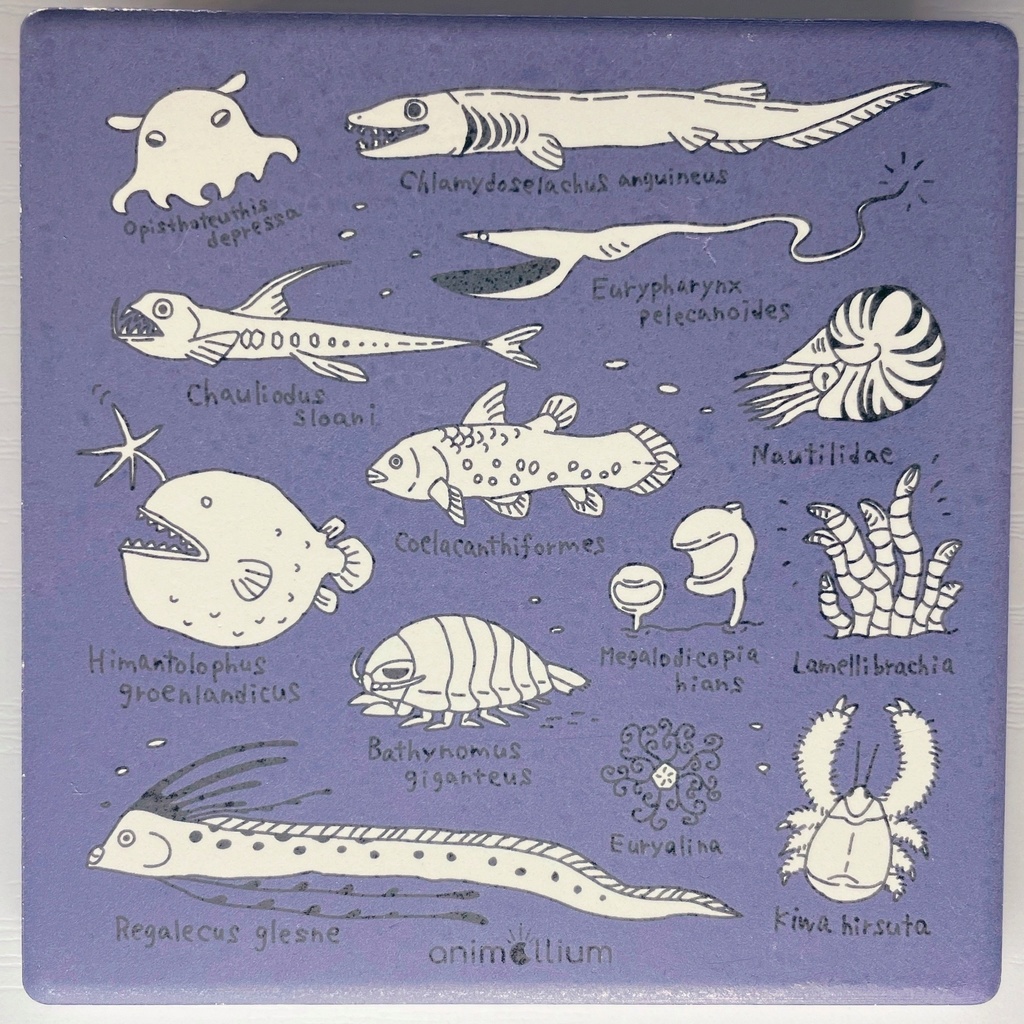 ミツバチ・深海生物・ネコ科の吸水コースター