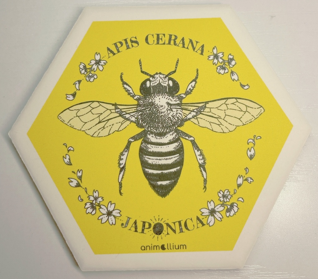 ミツバチ・深海生物・ネコ科の吸水コースター