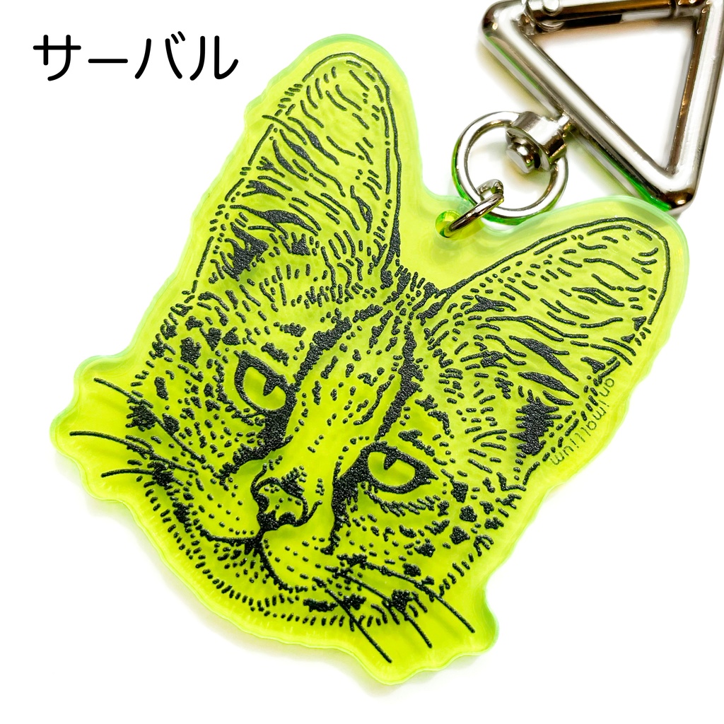 大型ネコ科のアクリルキーホルダー