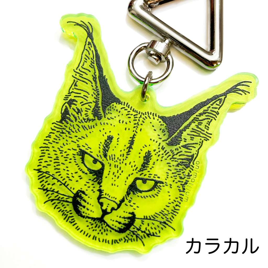 大型ネコ科のアクリルキーホルダー