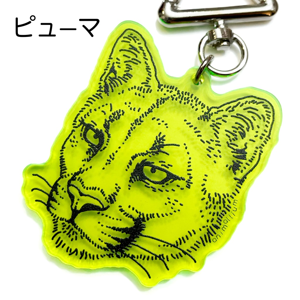 大型ネコ科のアクリルキーホルダー