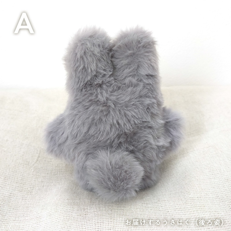 【展示中】うさはぐ usahug