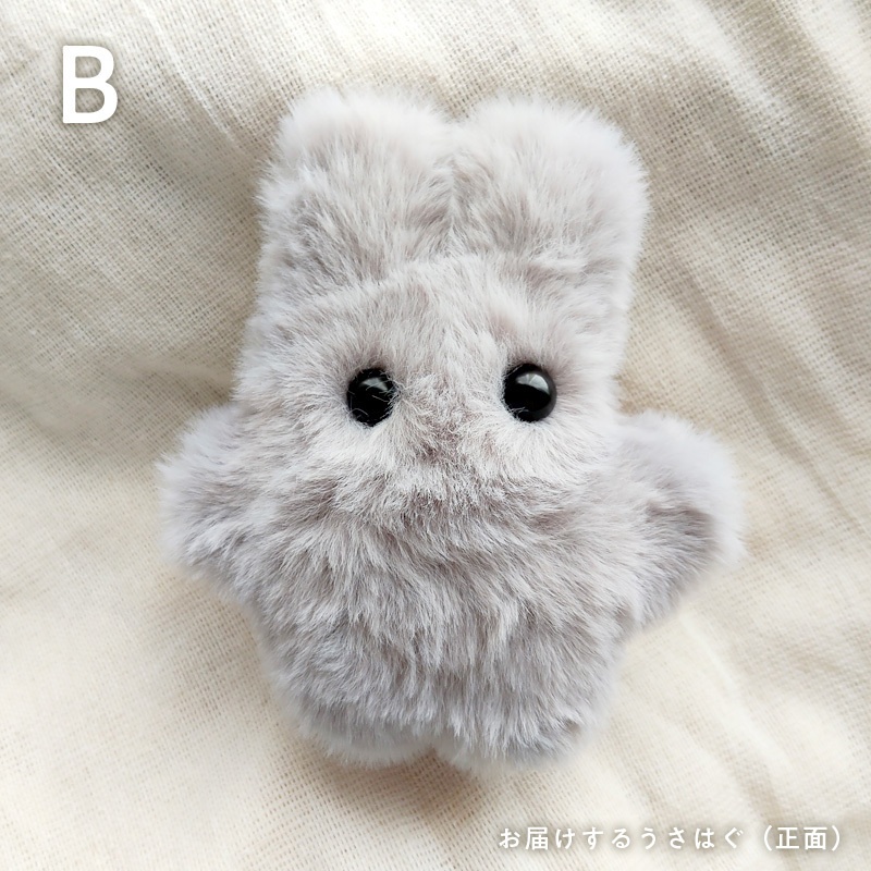 【展示中】うさはぐ usahug