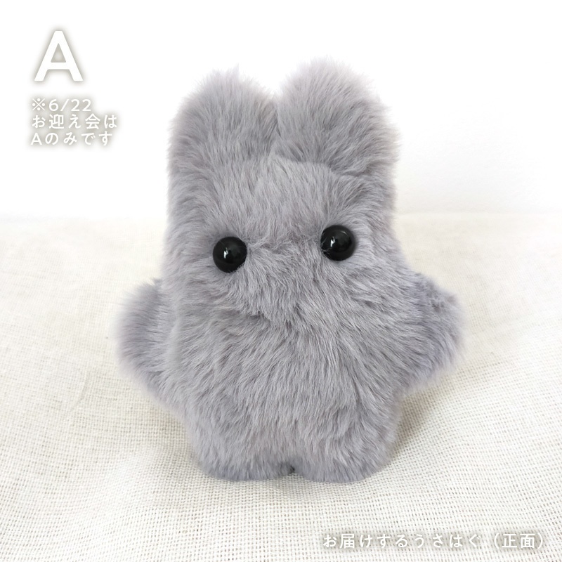 【展示中】うさはぐ usahug