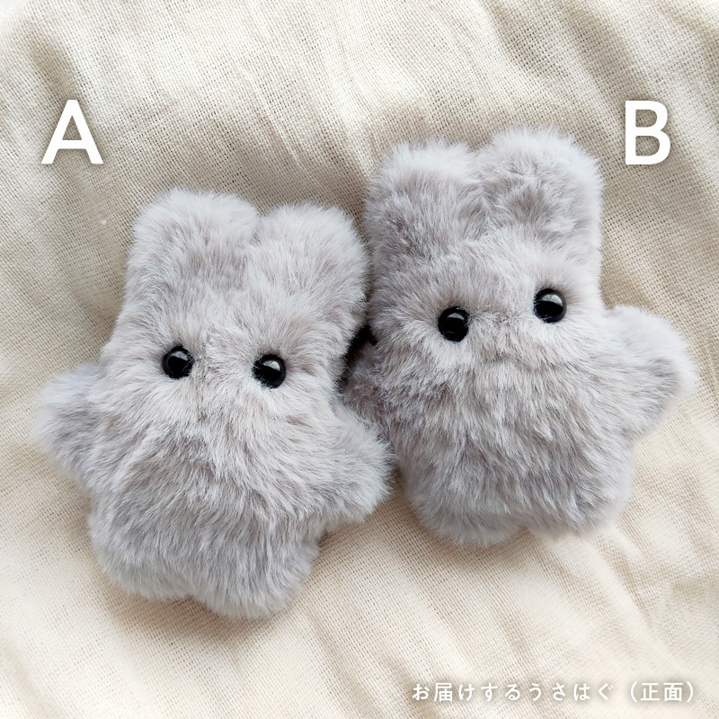 【展示中】うさはぐ usahug